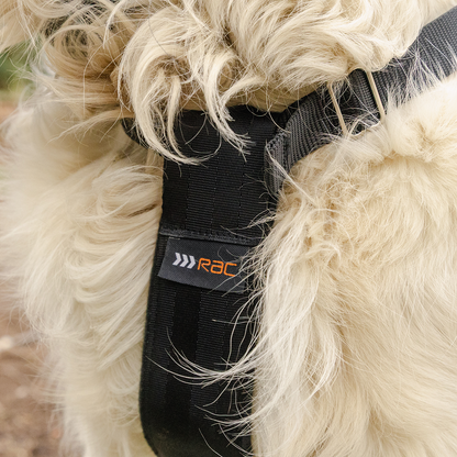 RAC 2-In-1 Max Chest Dog Car Harness