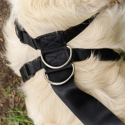 RAC 2-In-1 Max Chest Dog Car Harness
