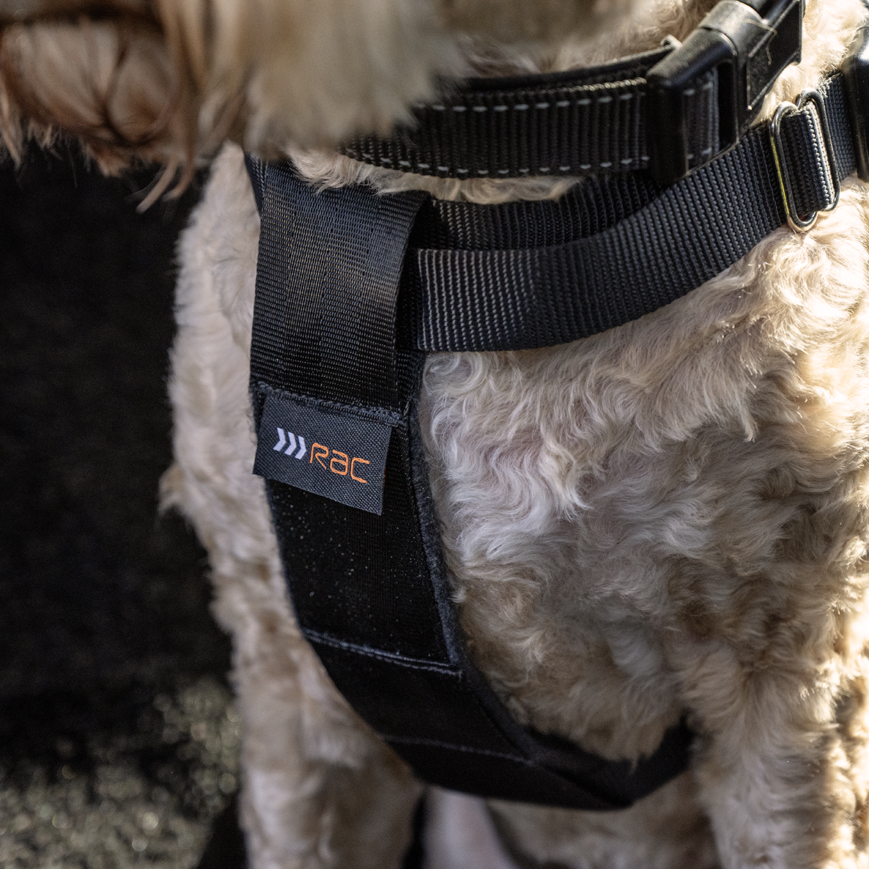 RAC 2-In-1 Max Chest Dog Car Harness