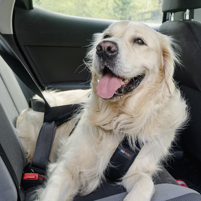 RAC 2-In-1 Max Chest Dog Car Harness