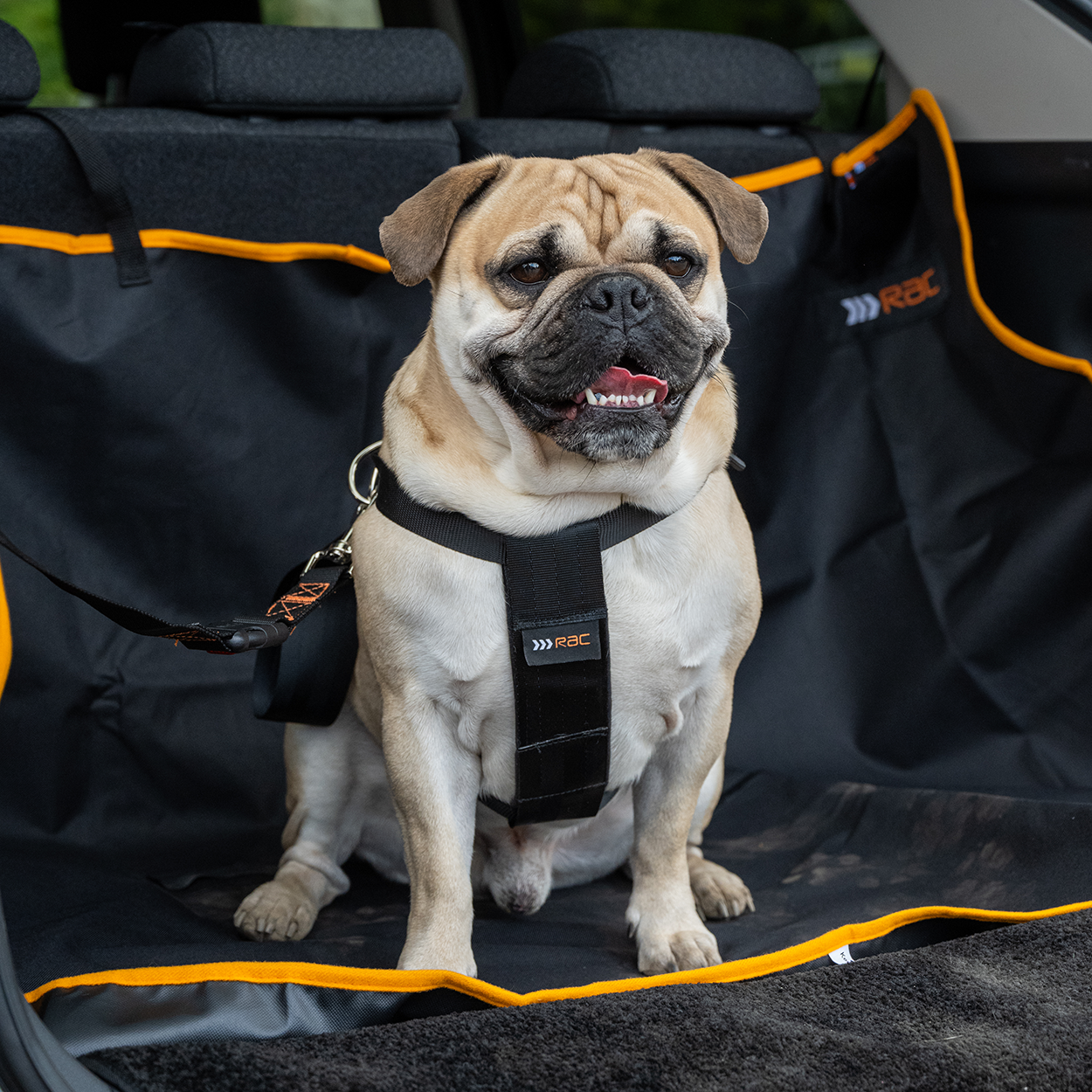 RAC 2-In-1 Max Chest Dog Car Harness