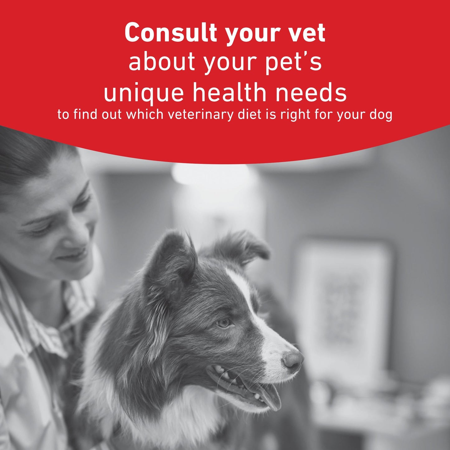 Royal Canin Glycobalance Small Dog Adult Dry Dog Food