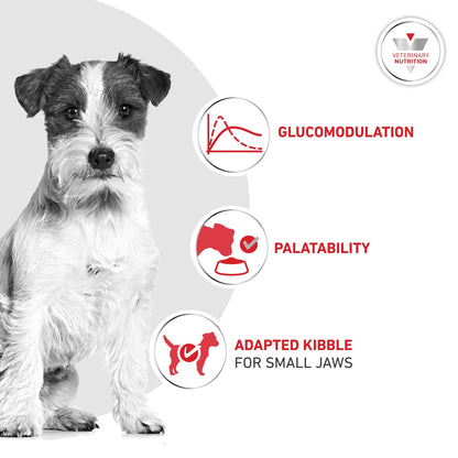 Royal Canin Glycobalance Small Dog Adult Dry Dog Food