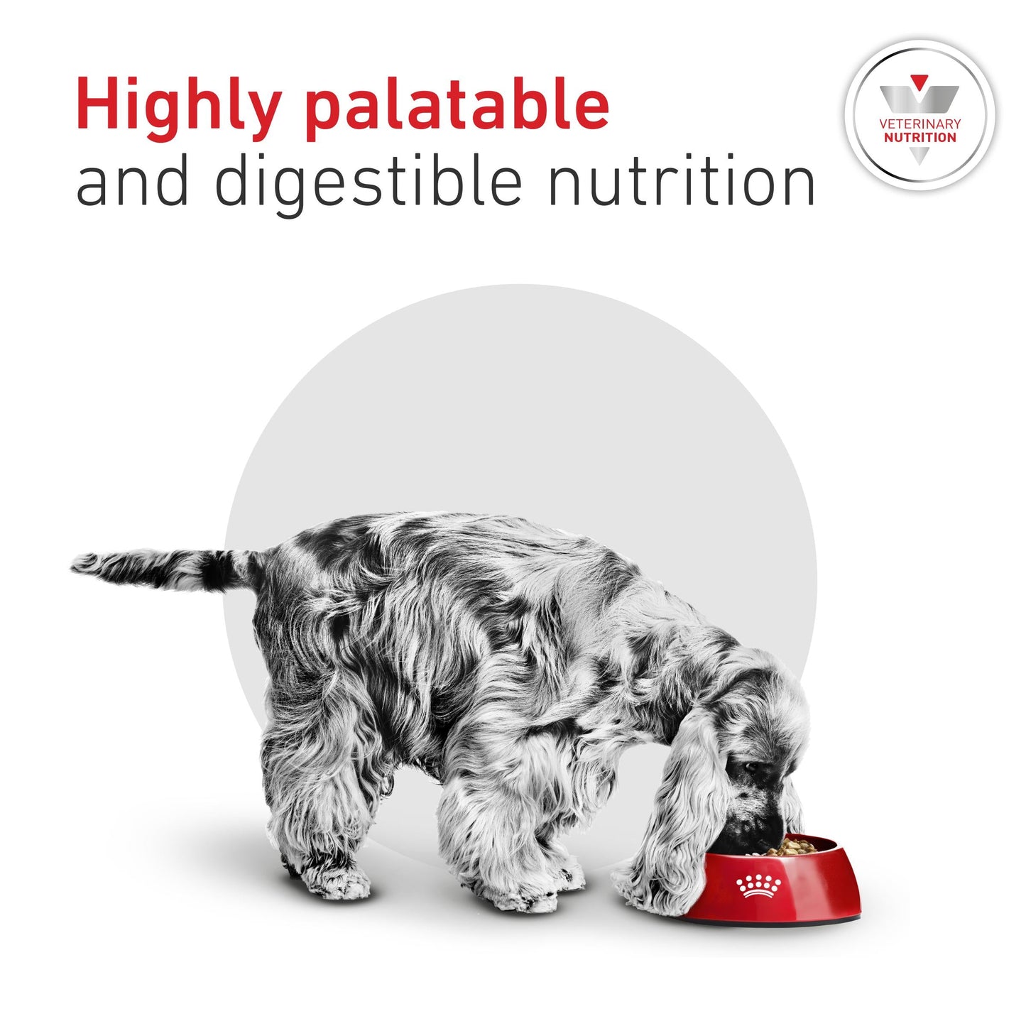 Royal Canin Glycobalance Small Dog Adult Dry Dog Food