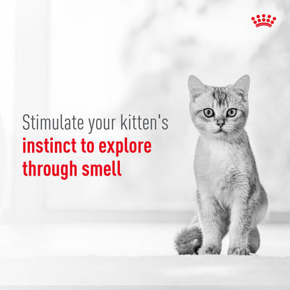 Royal Canin Sensory Kitten Smell Chunks In Gravy