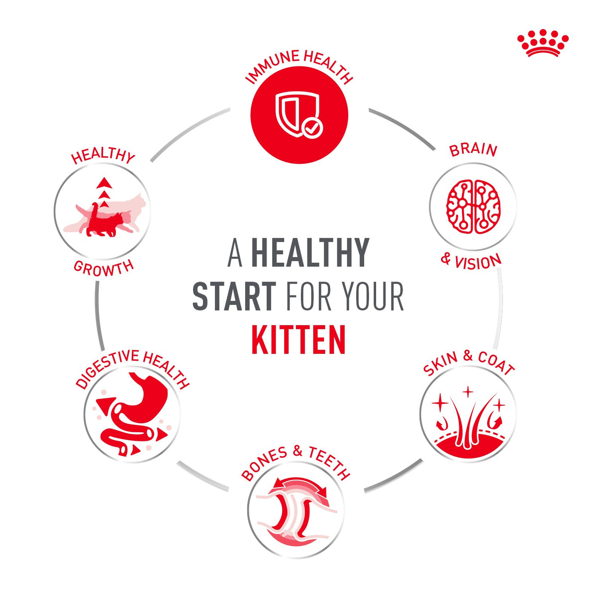Royal Canin Sensory Kitten Smell Chunks In Gravy