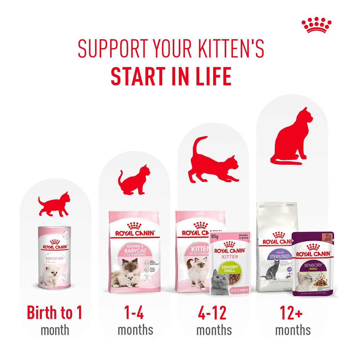 Royal Canin Sensory Kitten Smell Chunks In Gravy