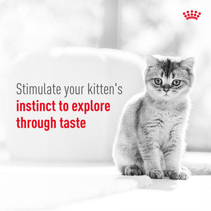 Royal Canin Sensory Kitten Taste Chunks In Gravy
