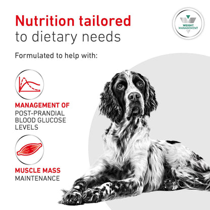 Royal Canin Glycobalance Adult Dry Dog Food