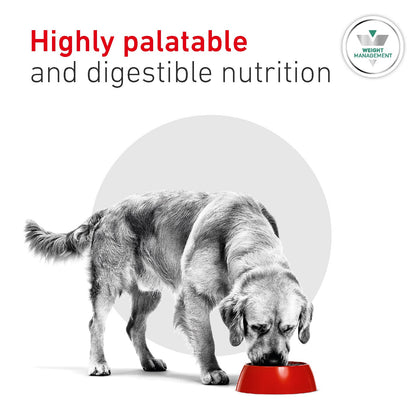 Royal Canin Glycobalance Adult Dry Dog Food
