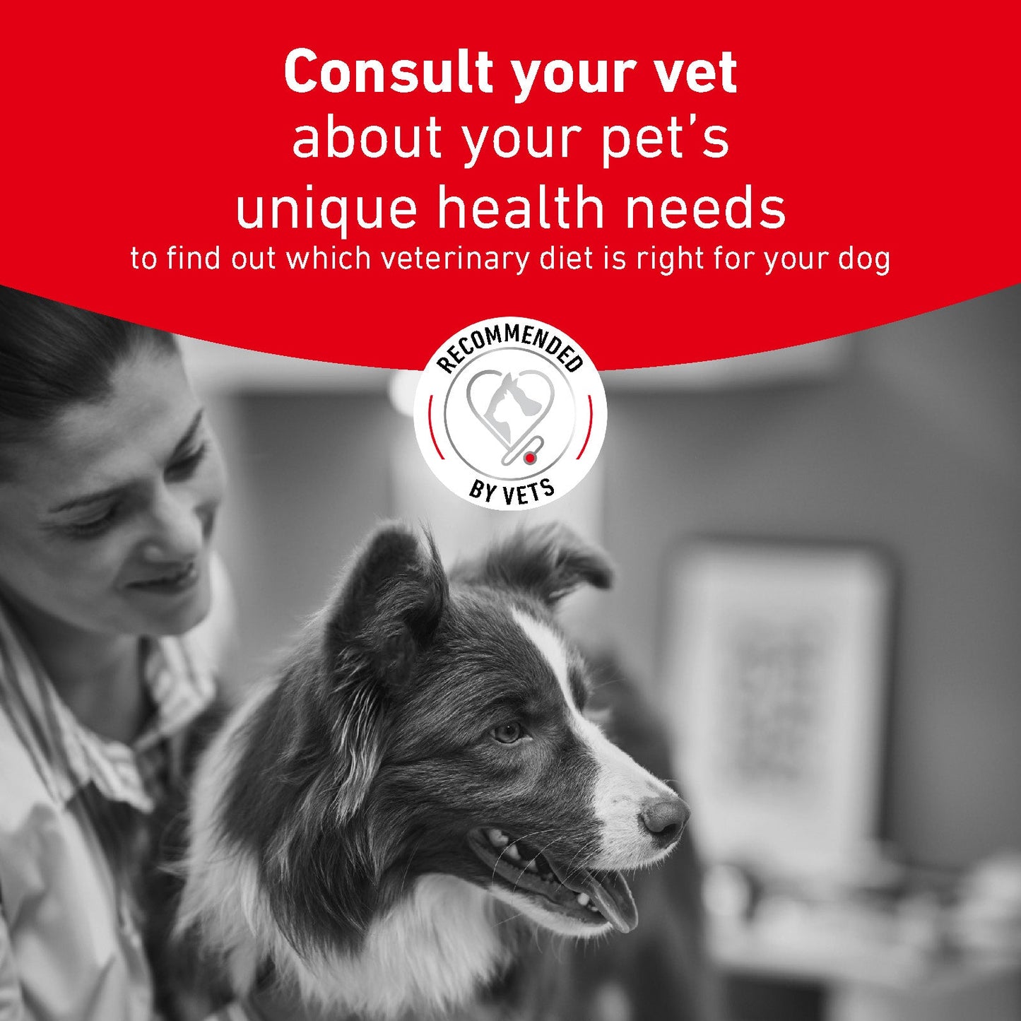 Royal Canin Glycobalance Adult Wet Dog Food