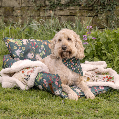 Royal Horticultural Society Pets in the Garden Printed Sherpa Blanket