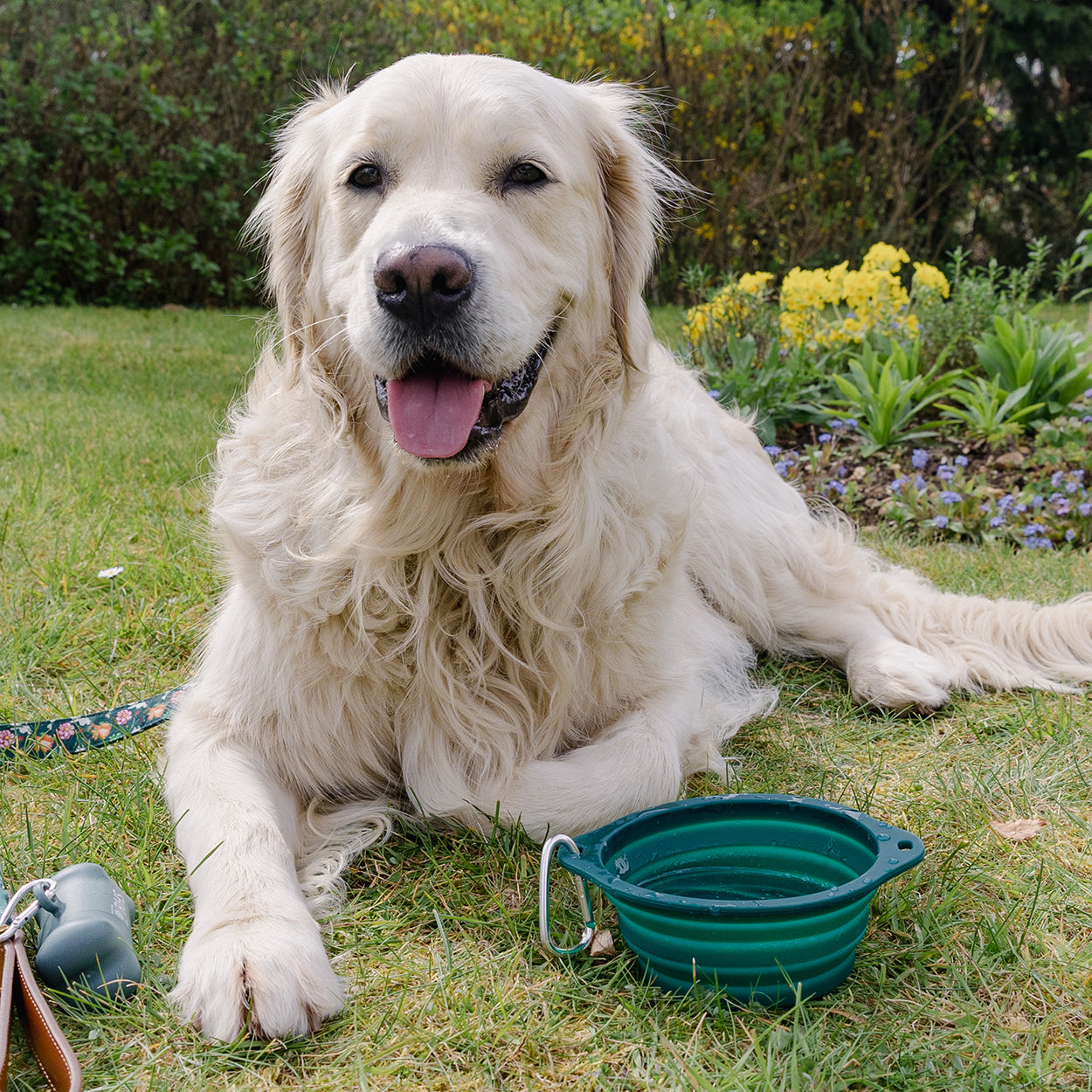 Royal Horticultural Society Pets in the Garden Collapsible Bowl