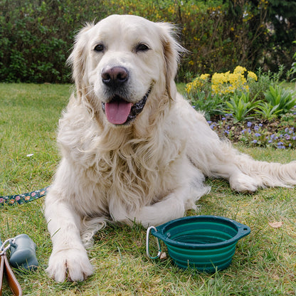 Royal Horticultural Society Pets in the Garden Collapsible Bowl