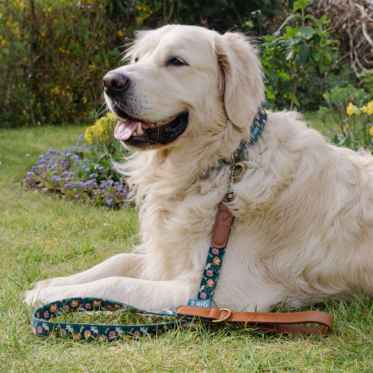 Royal Horticultural Society Pets in the Garden Printed Lead
