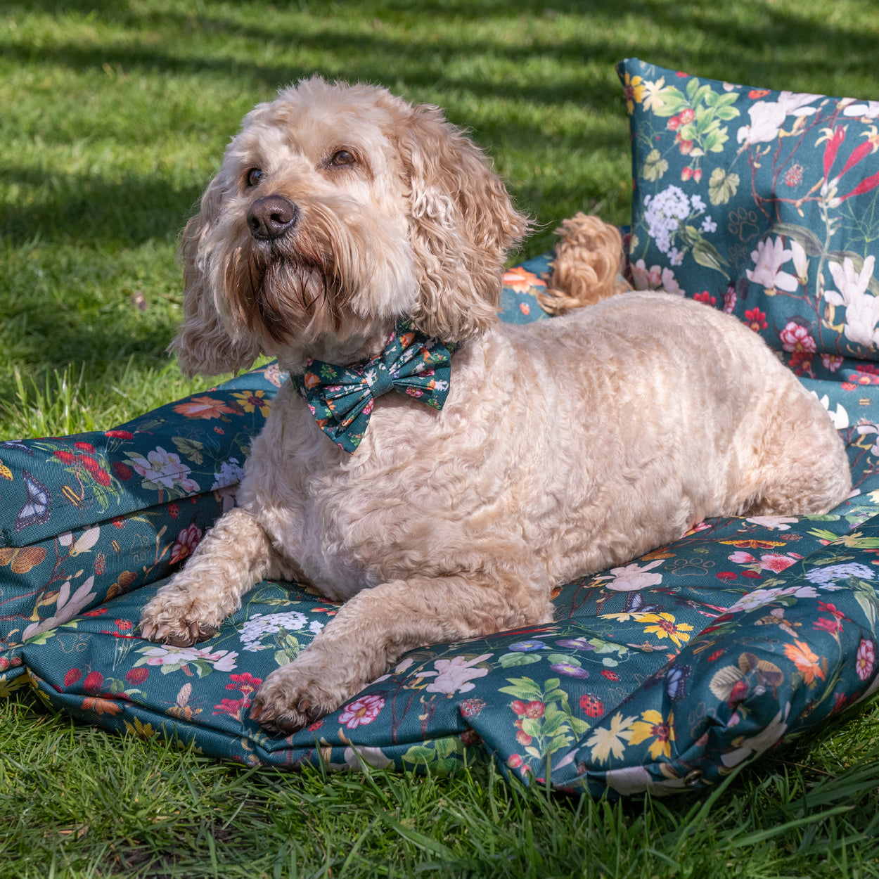 Royal Horticultural Society Pets in the Garden Bow Tie