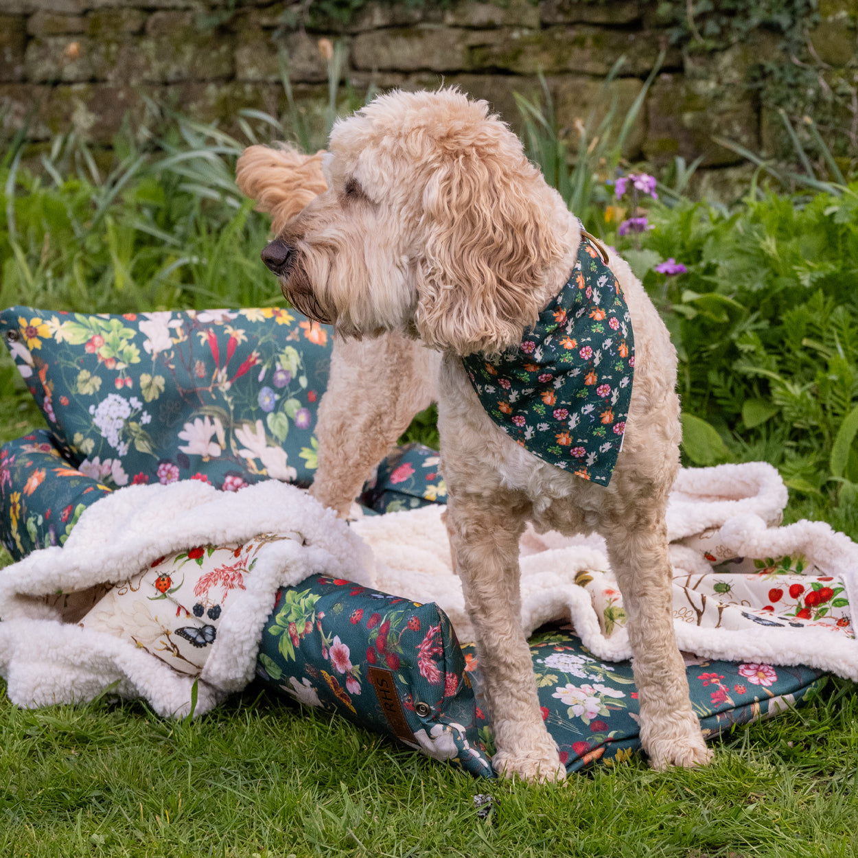 Royal Horticultural Society Pets in the Garden Reversible Bandana