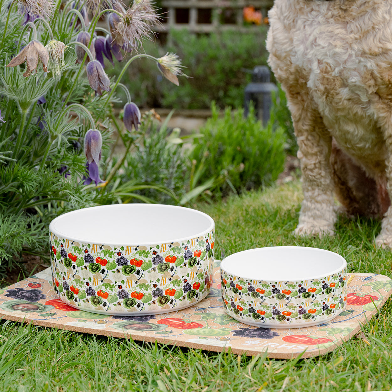 Royal Horticultural Society Pets in the Garden Ceramic Bowl