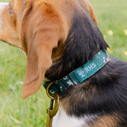 Royal Horticultural Society Pets in the Garden Dog Collar