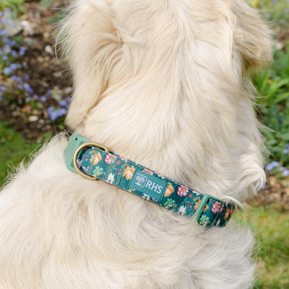 Royal Horticultural Society Pets in the Garden Dog Collar