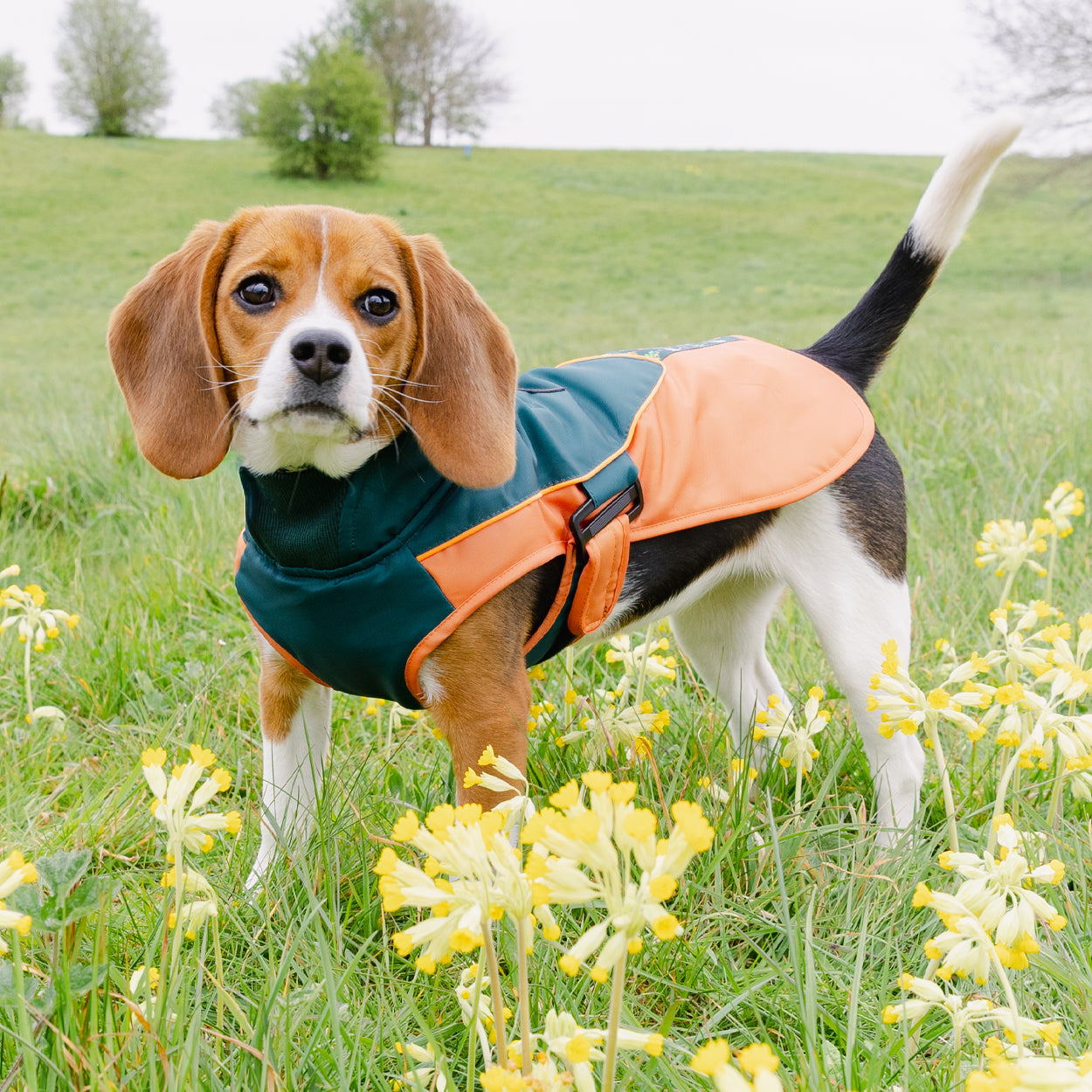 Royal Horticultural Society Pets in the Garden Water Resistant Coat