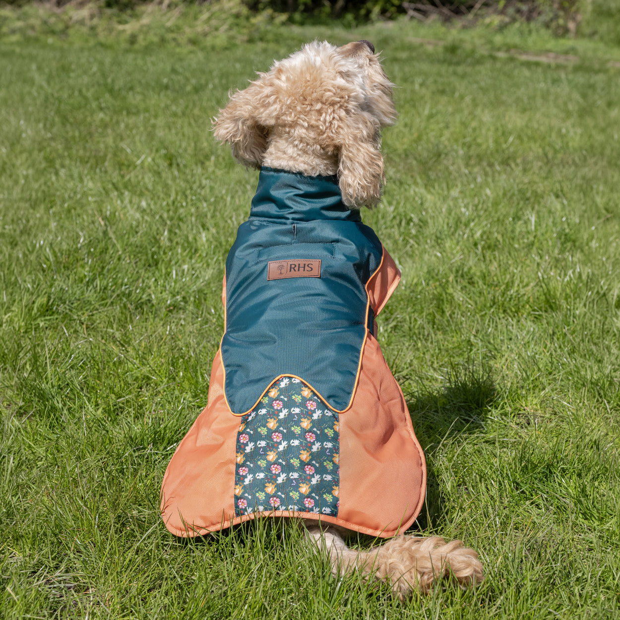 Royal Horticultural Society Pets in the Garden Water Resistant Coat