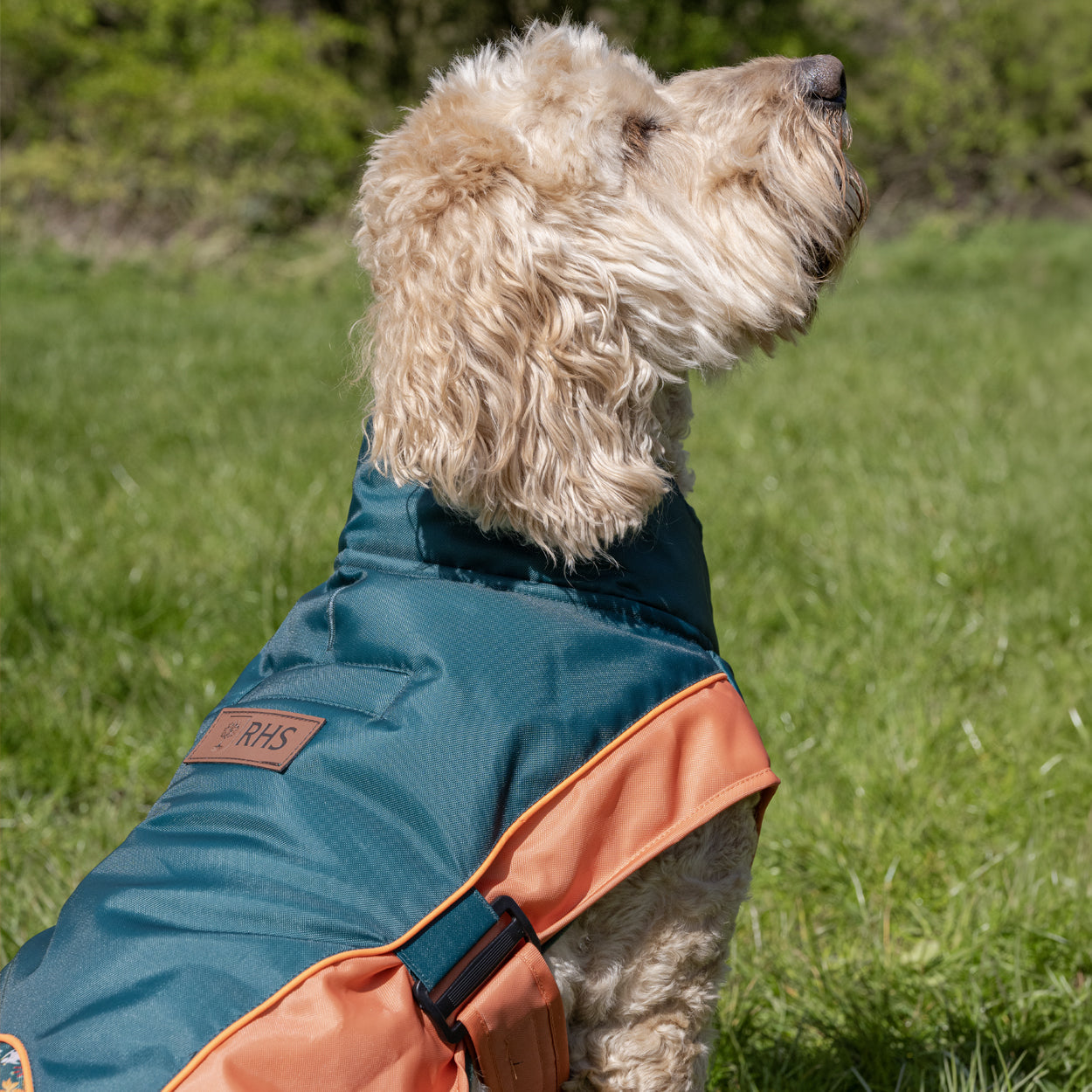 Royal Horticultural Society Pets in the Garden Water Resistant Coat
