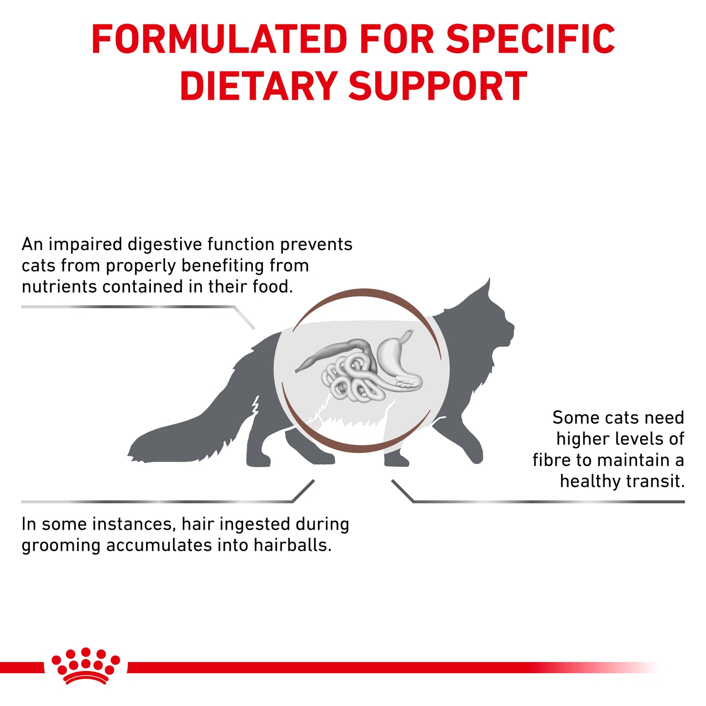 Royal Canin Gastrointestinal Hairball Adult Dry Cat Food
