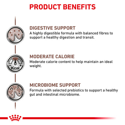 Royal Canin Gastrointestinal Moderate Calorie Thin Slices in Gravy Adult Wet Cat Food 12 x 85g