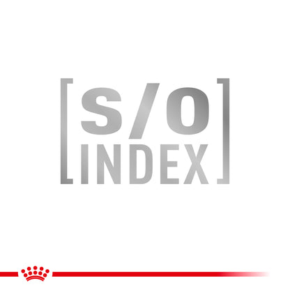 Royal Canin Gastrointestinal Moderate Calorie Adult Dry Cat Food