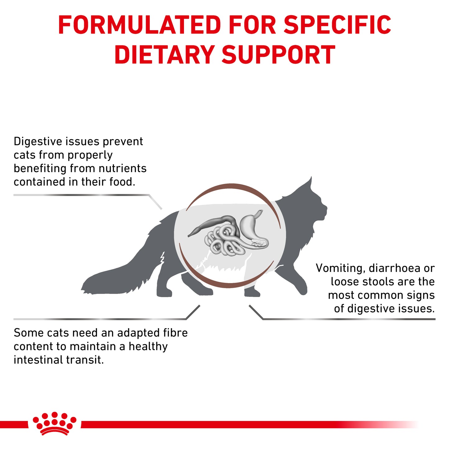 Royal Canin Gastrointestinal Fibre Response Thin Slices in Gravy Adult Wet Cat Food 12 x 85g