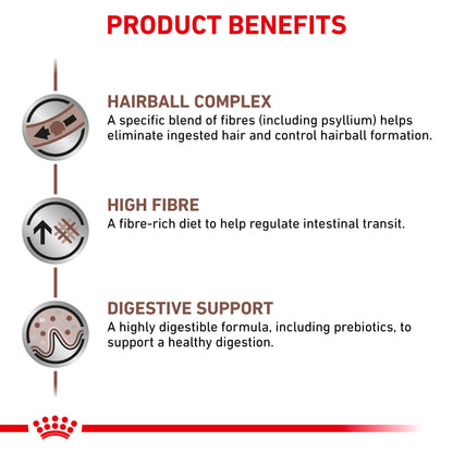 Royal Canin Gastrointestinal Hairball Adult Dry Cat Food