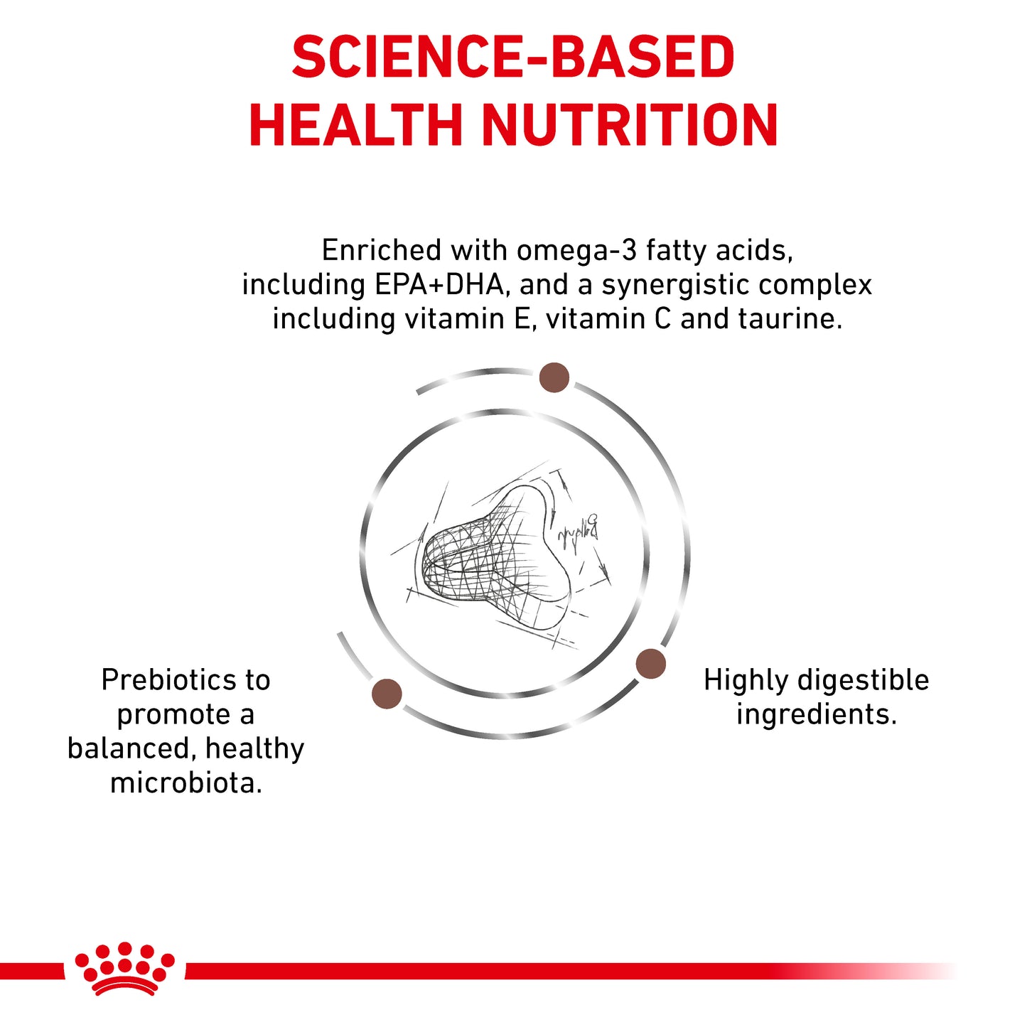 Royal Canin Gastrointestinal Fibre Response Adult Dry Cat Food
