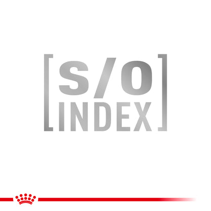 Royal Canin Gastrointestinal Hairball Adult Dry Cat Food