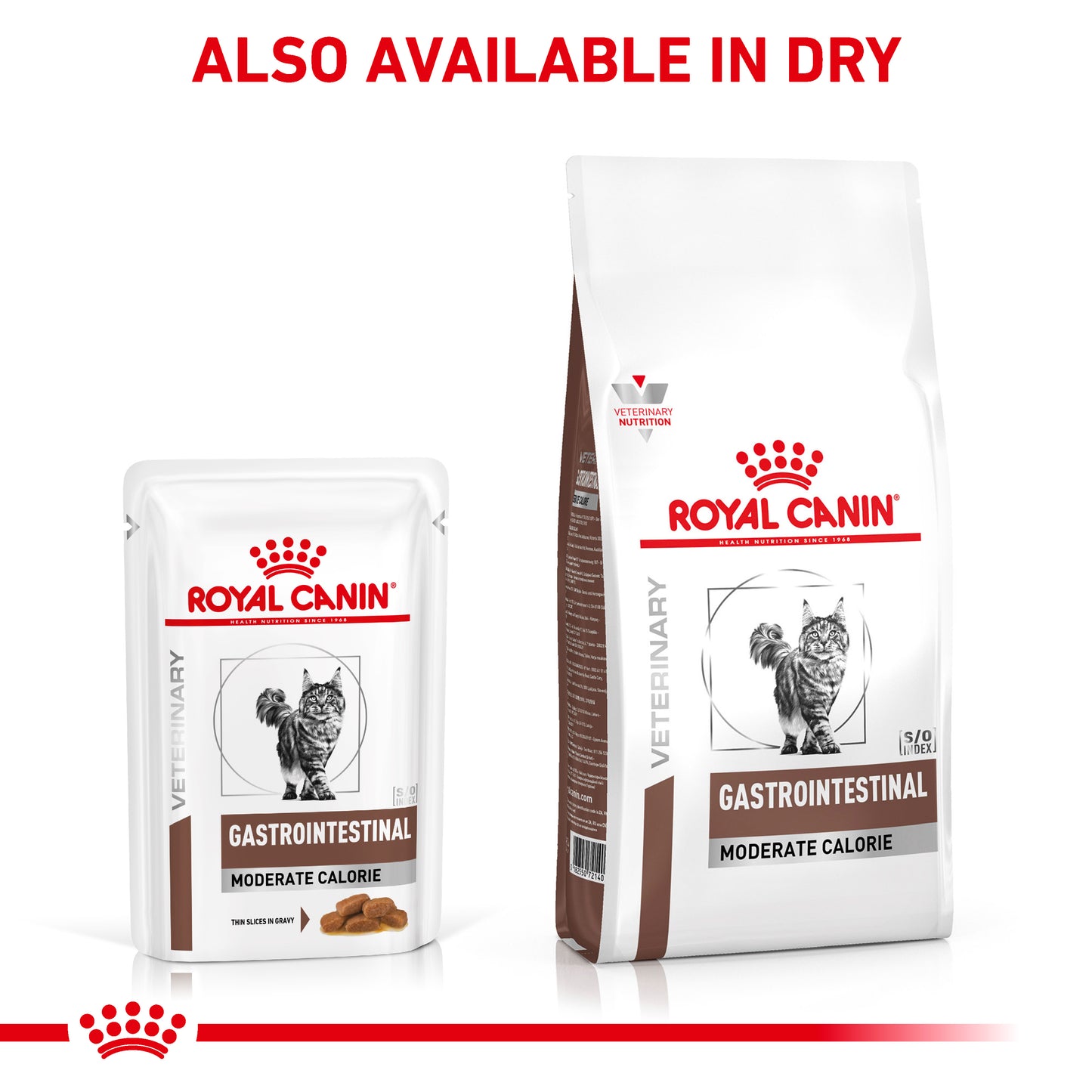 Royal Canin Gastrointestinal Moderate Calorie Thin Slices in Gravy Adult Wet Cat Food 12 x 85g