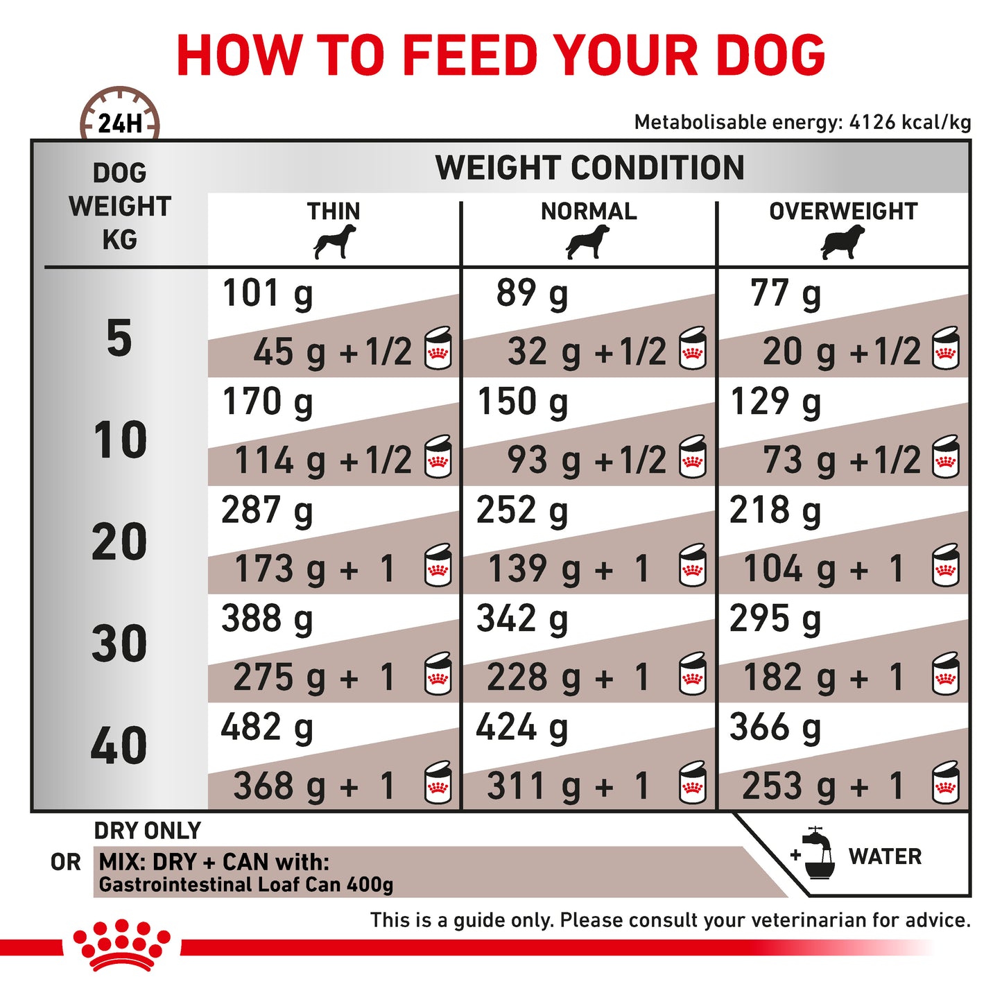 Royal Canin Gastrointestinal Adult Dry Dog Food