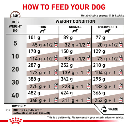 Royal Canin Gastrointestinal Adult Dry Dog Food