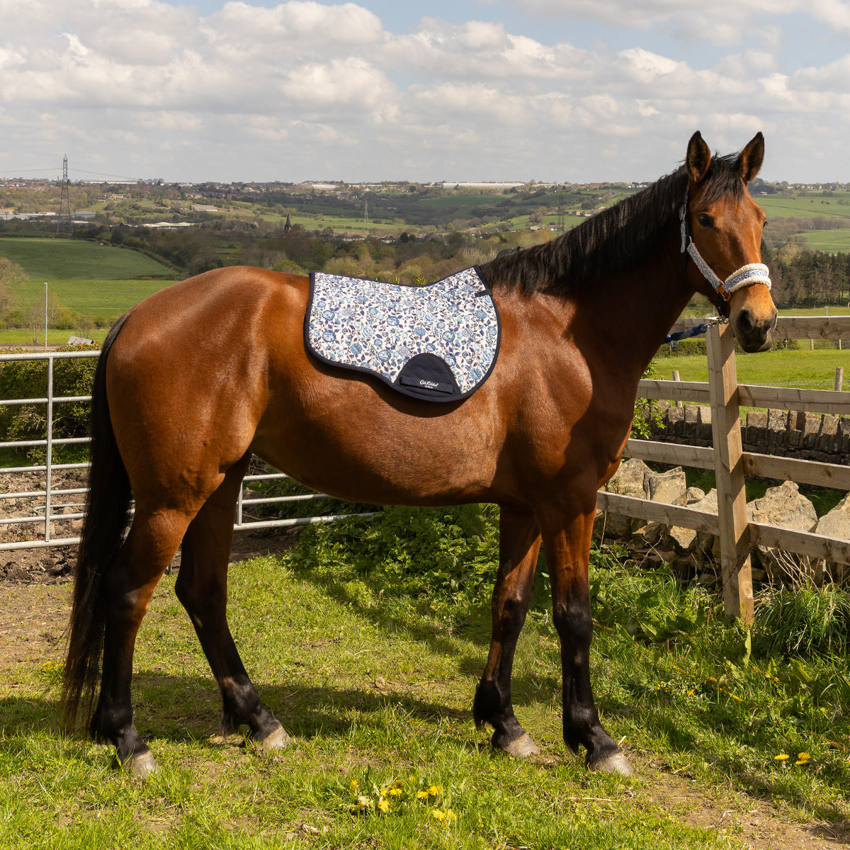 Cath Kidston Equestrian Strawberry Garden GP Saddle Pad