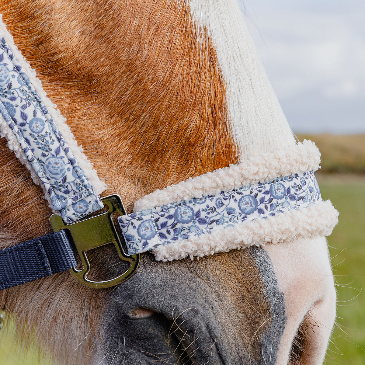 Cath Kidston Equestrian Strawberry Garden Headcollar & Leadrope Set