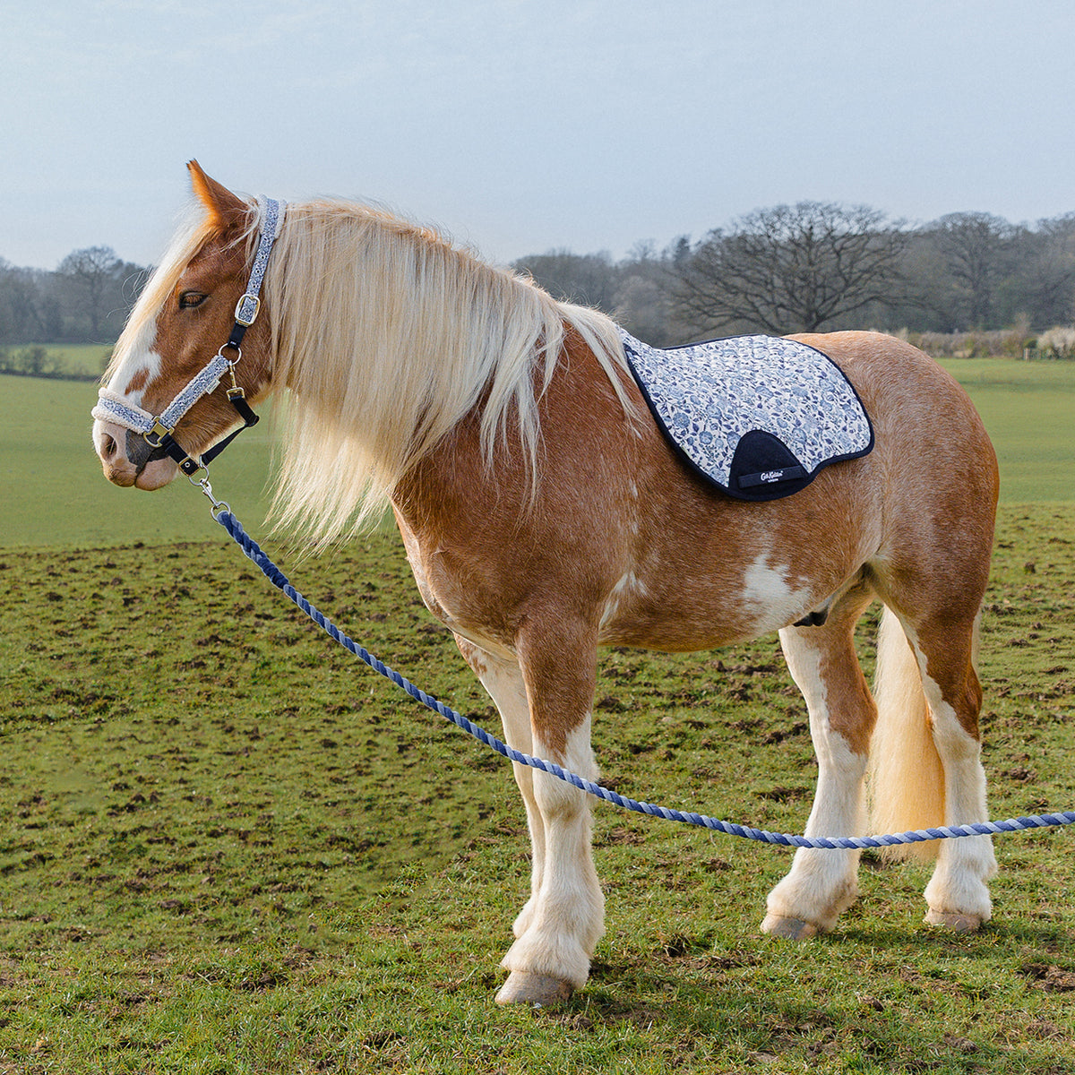 Cath Kidston Equestrian Strawberry Garden Headcollar & Leadrope Set