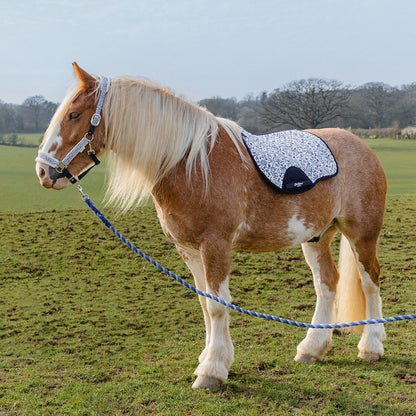 Cath Kidston Equestrian Strawberry Garden Headcollar & Leadrope Set