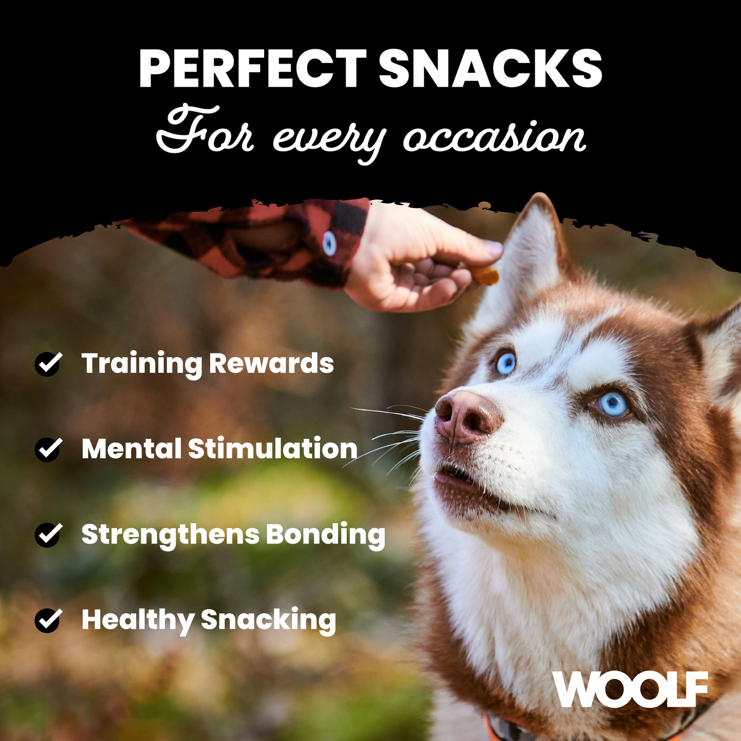 Woolf Duck chunkies Dog Treats