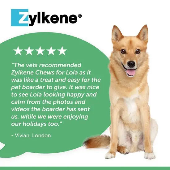 Zylkene® Calming Chews for Dogs