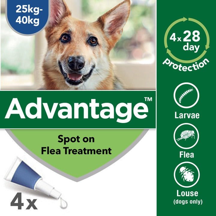Advantage 400 Spot On Dog Flea Treatment for Dogs - 4 Pipettes