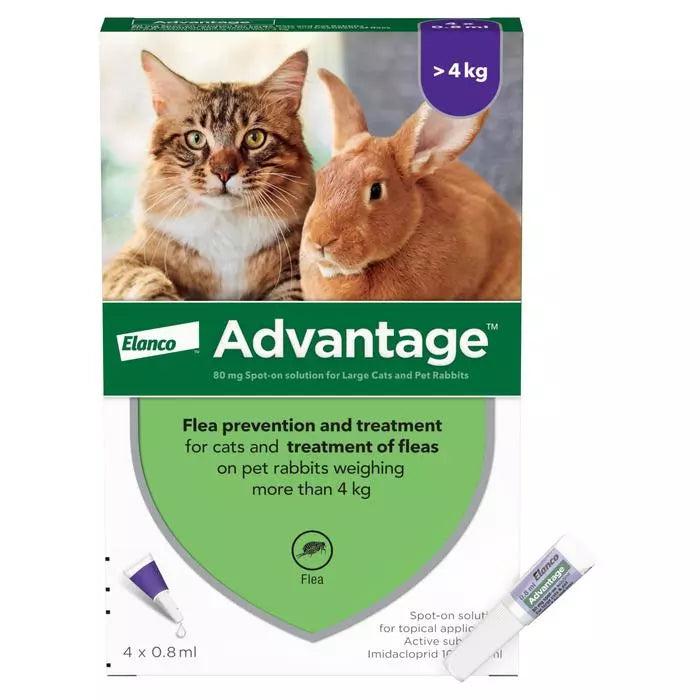 Advantage 80 Spot On for Large Cat & Rabbits (4-8kg)