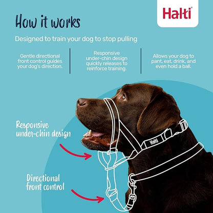 Halti Train Headcollar Forest Green