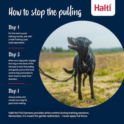 Halti Train No Pull Harness Purple