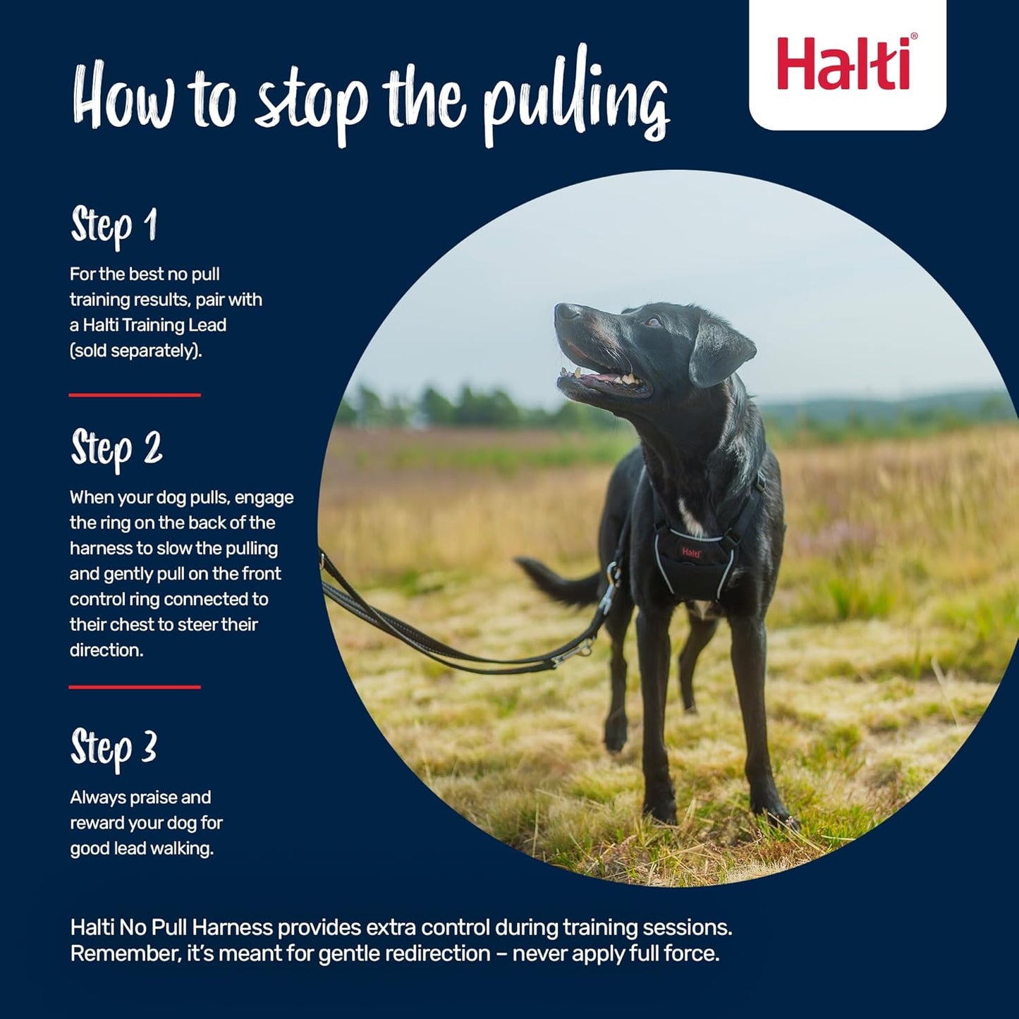 Halti Train No Pull Harness Desert Sand