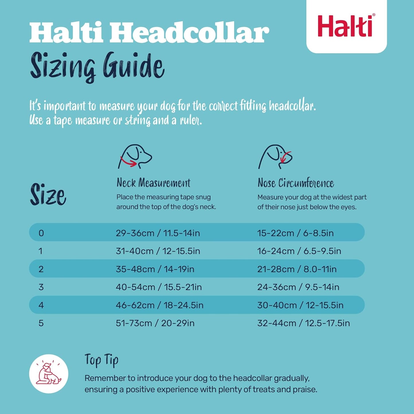 Halti Train Headcollar Desert Sand