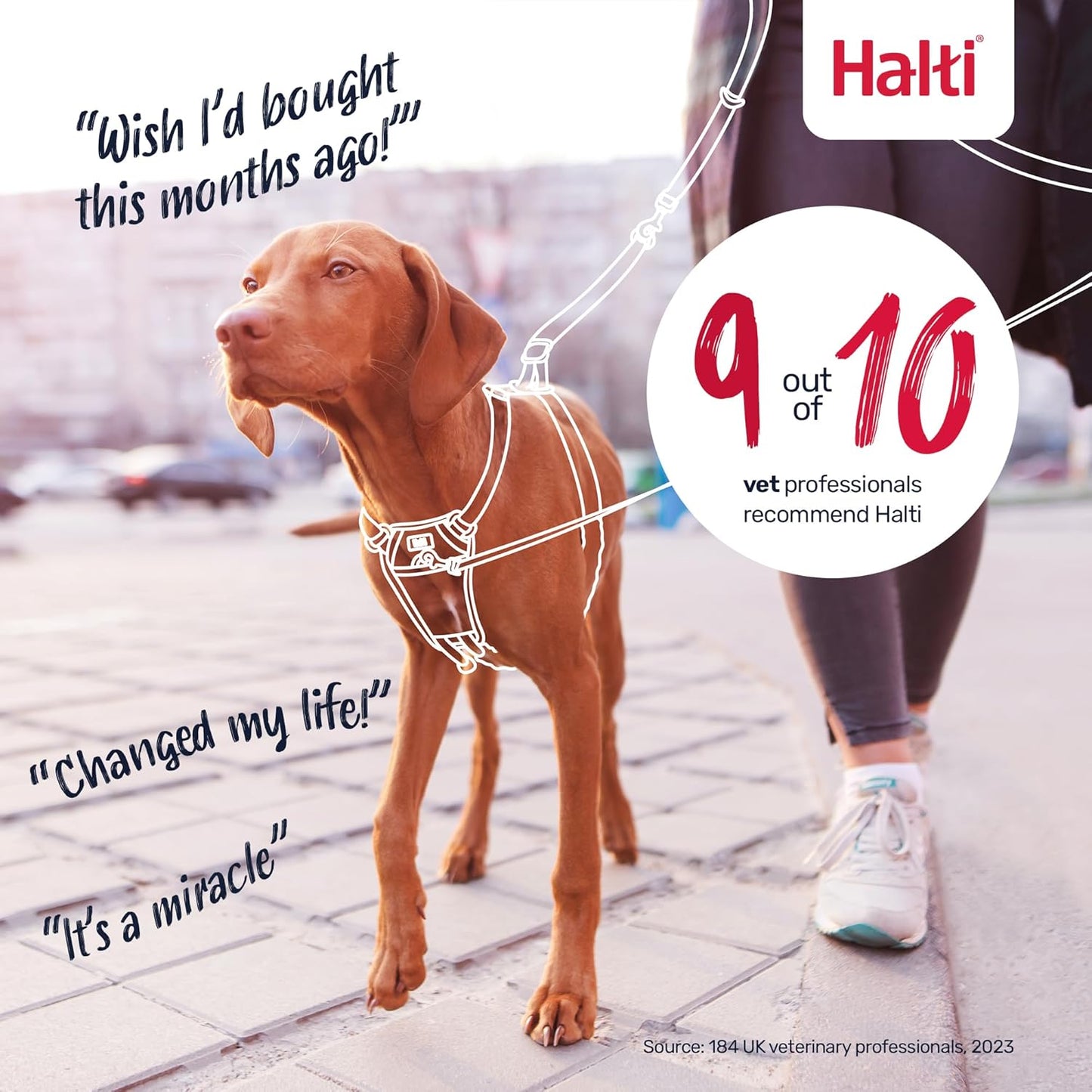 Halti Train No Pull Harness Cobalt Blue